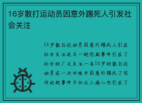 16岁散打运动员因意外踢死人引发社会关注